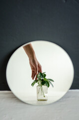 Small young houseplant in a copper pot stands in front of a round mirror on a black and white background with woman hand