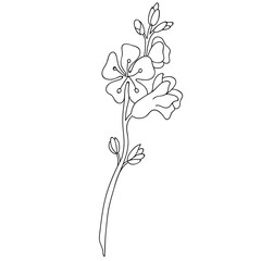 Abstract flat outline art flower illustration. Continous line flower, leaf and plant silhouette on transparent background. Conceptual design for poster, banner, invitation