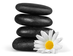 Zen basalt stones and flower on background