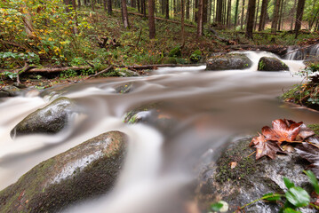 rivi&egrave;re de montagne 
