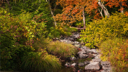 Autumn color in Stokes State Forest New Jersey