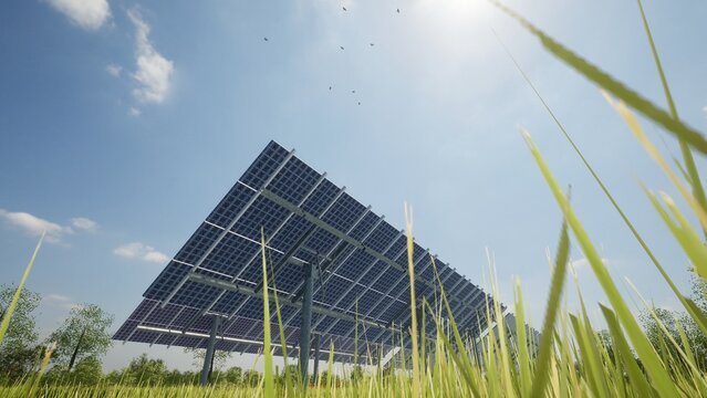 Solar panel farm energy production