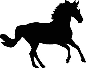 Fototapeta na wymiar horse silhouette vector . Running horse black silhouette