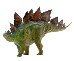 Dinosaur Stegosaurus figure on a transparent background png
