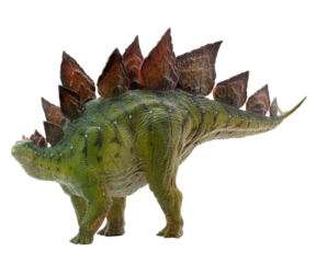 Dinosaur Stegosaurus figure on a transparent background png
