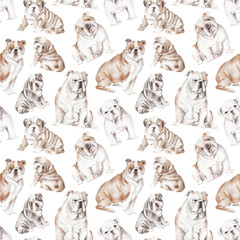 English bulldog seamless pattern