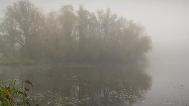 Mysterious forest lake with fog Timelapse 01 - Zoom out