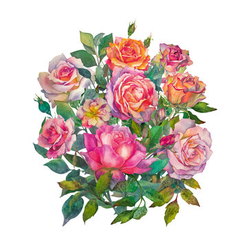 Round composition of roses on a white background. Botanical watercolor illustration in a realistic style. Picture for a postcard or greeting