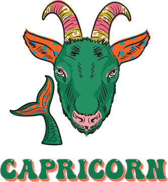 Capricorn Zodiac Sign element