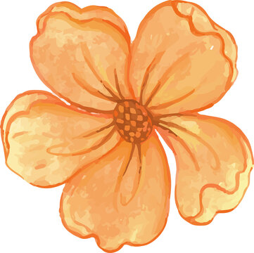 hand drawn illustration of orange yellow flower