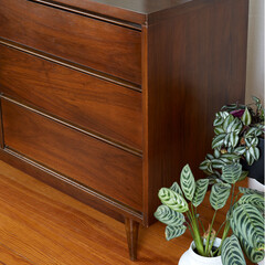 Vintage mid-century modern walnut dresser with mirror. Interior room with minimal design furniture,...