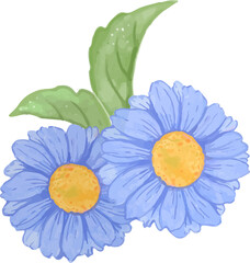 couple blue flower isolated 