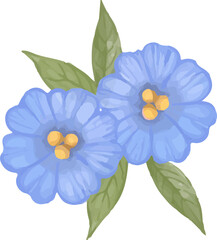 blue flower isolated on white