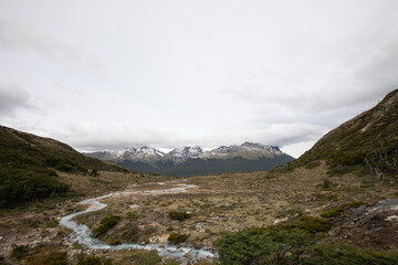 Fototapeta na wymiar Alpine landscape. Panorama view of a glacier water stream flowing downhill across the meadow, valley, forest and Andes mountains, under a cloudy summer sky. 