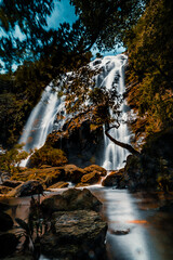 waterfall in autumn forest