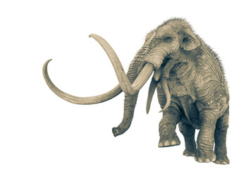mammoth with copy space in white background