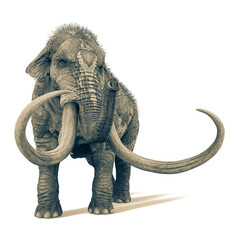 Obraz premium mammot cool view white background