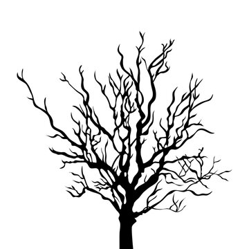 Silhouette of dead tree PNG vector