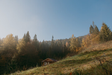 Beautiful landscape in the fall mountains, view of forest, pine trees and fog