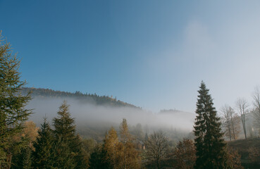 Fototapeta na wymiar Beautiful landscape in the fall mountains, view of forest, pine trees and fog
