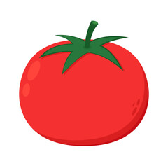 Tomato on white background. Vector illustration of fresh tomato.