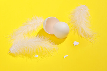 Creative layout with eggshell and feathers on bright yellow background. Visual trend. Easter concept. Minimalistic aesthetic still life with shadow. Fresh idea