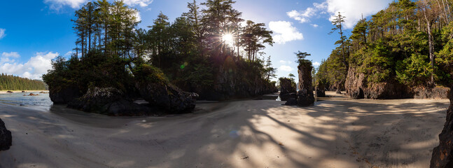 Sandy beach on Pacific Ocean Coast Panoramic View. Sunny Blue Sky. San Josef Bay, Cape Scott Provincial Park, Northern Vancouver Island, BC, Canada. Canadian Nature Background Panorama