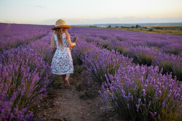 Pretty child dressed dress and straw hat, holding the bouquet of purple flowers, walking in the field against the sunset