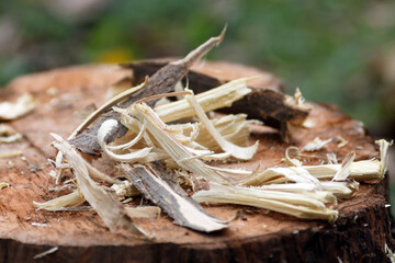 Pieces of shaved wood on the log. Adobe RGB color profile.