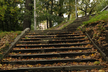 Stairs in autumn park