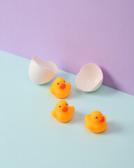 Creative layout. Rubber ducks with eggshell on two tone pastel background. Conceptual pop. Minimal still life.