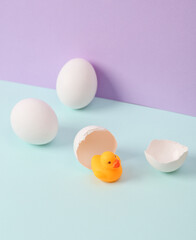 Creative layout. Rubber duck with eggshell on two tone pastel background. Conceptual pop. Minimal still life.
