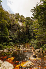 waterfall in the forest