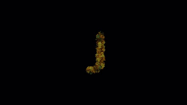 Animated Autumn Leaves Text Typeface Forming And Blown Away The Character J
