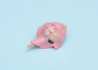 Creative summer layout, Seashell with slime on blue pastel background. Visual trend. Fresh idea. Concept pop