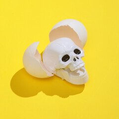 Creative layout with skull and eggshell. Bright yellow background with shadow. Visual halloween trend. Minimalistic aesthetic still life. Fresh idea