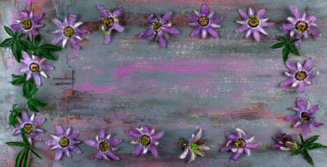 La Passiflore officinale -Passiflora Incarnata , wooden background long format