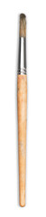 Brush paint art isolated hobbies paintbrush artistic