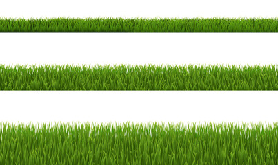 Green Grass Collection And White Background