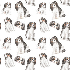 Cavalier dogs seamless pattern