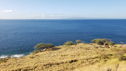 View Off Coast of Waikiki into the Pacific Ocean