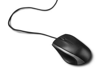 Computer mouse on white background