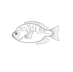 Coloring Book, fish picture series
