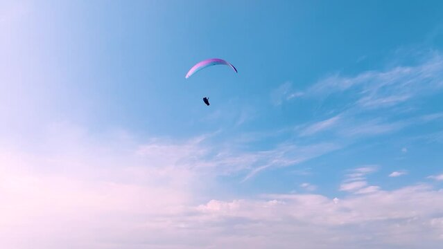 The pilot of a paraglider on a cruise flies against the blue sky on a sunny day. aerial view