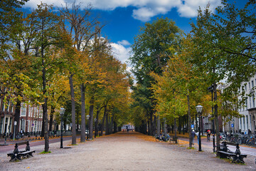 The Lange Voorhout, a leafy avenue in the city centre of The Hague, The Netherlands, on a sunny...