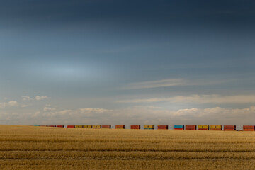 Rolling stock across the prairies Kathryn Alberta Canada