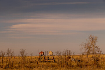 Obraz na płótnie Canvas Farmers fields in the early morning Keoma Alberta Canada