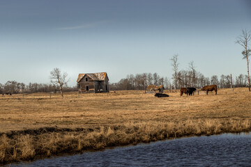 Fototapeta premium Fields marshes rustic out buildings Red Deer County Alberta Canada