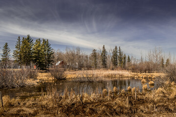 Fields marshes rustic out buildings Red Deer County Alberta Canada
