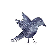 Black bird watercolor hand drawn illustration.Suitable for decor, cover, banner, print, icons.